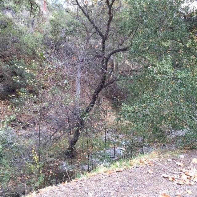 Listing photo 2 for 0 Silverado Canyon Rd, Silverado Canyon CA 92676