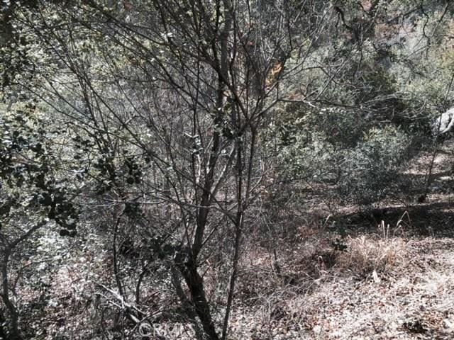 Listing photo 3 for 0 Silverado Canyon Rd, Silverado Canyon CA 92676