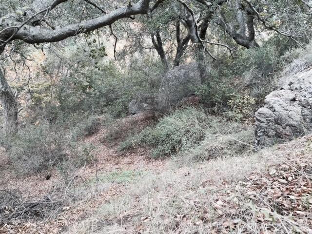 0 Silverado Canyon Rd, Silverado Canyon, CA 92676 - photo 4