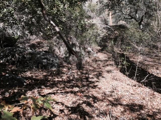 0 Silverado Canyon Rd, Silverado Canyon, CA 92676 - photo 6