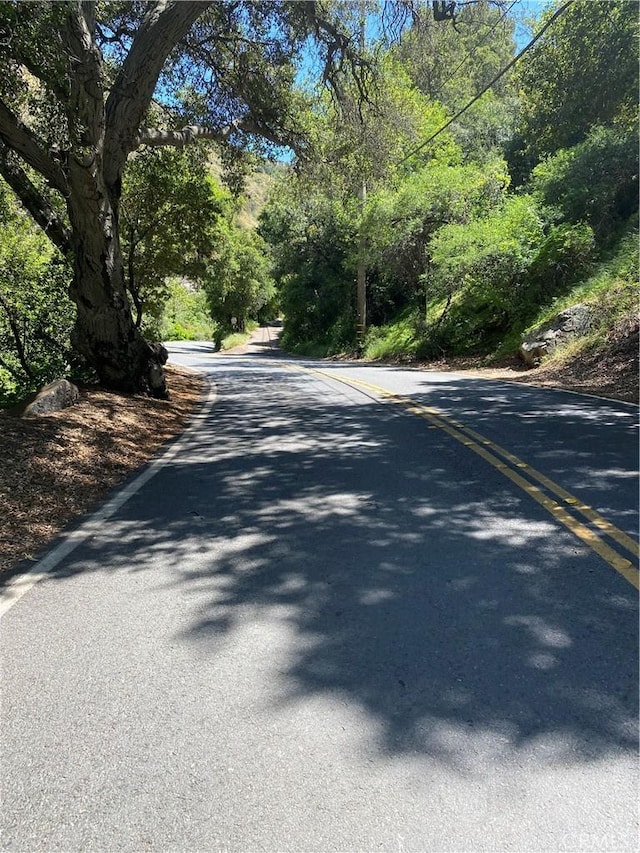 0 Silverado Canyon Rd, Silverado Canyon, CA 92676 - photo 12