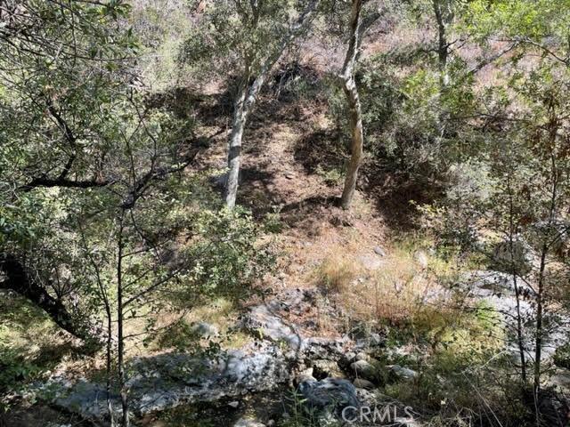 0 Silverado Canyon Rd, Silverado Canyon, CA 92676 - photo 10