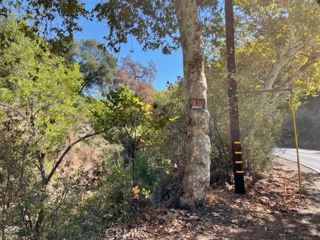 0 Silverado Canyon Rd, Silverado Canyon, CA 92676 - photo 9
