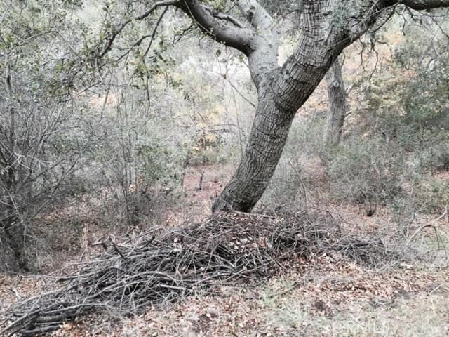 0 Silverado Canyon Rd, Silverado Canyon, CA 92676 - photo 5