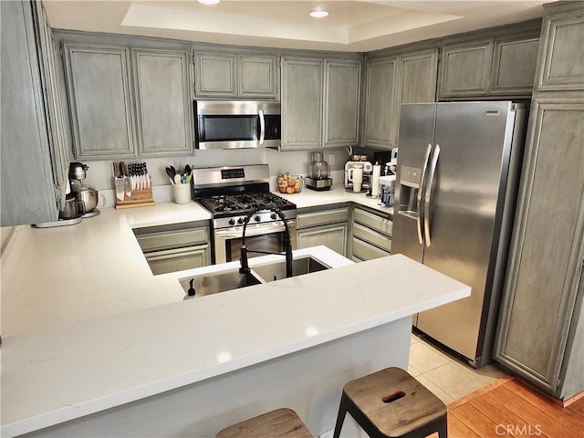 kitchen with appliances with stainless steel finishes, a raised ceiling, light countertops, and a peninsula