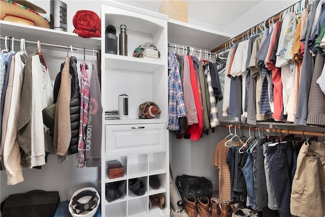 view of walk in closet