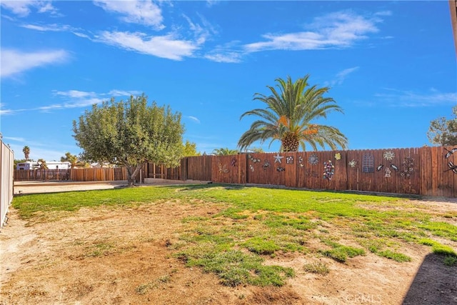 view of yard featuring a fenced backyard