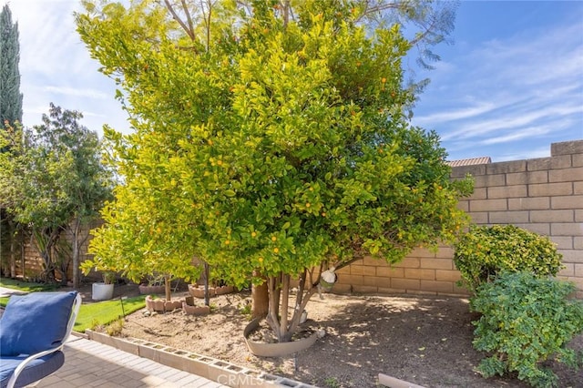 13440 Pala Ave, Sylmar, CA 91342 - view of fenced backyard