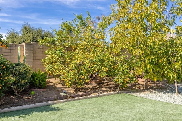 13440 Pala Ave, Sylmar, CA 91342 - view of yard