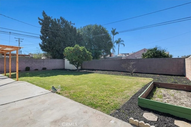 view of yard with a patio area and a fenced backyard