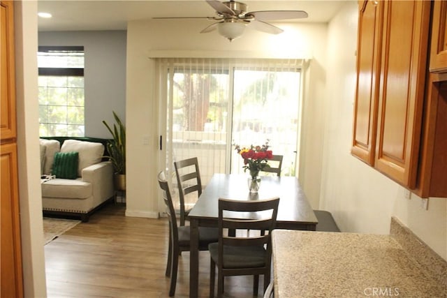 dining space featuring a ceiling fan and wood finished floors