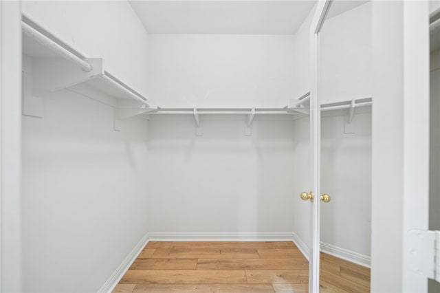 walk in closet with light wood-style floors