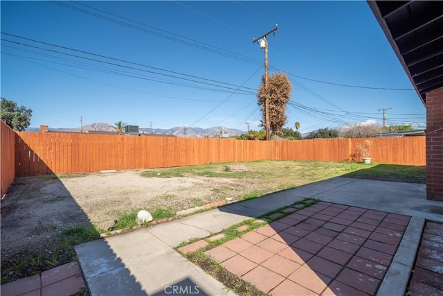 view of yard with a fenced backyard and a patio