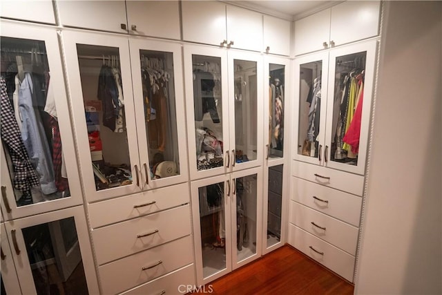 walk in closet featuring dark wood-style flooring