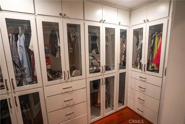 walk in closet with dark wood-type flooring