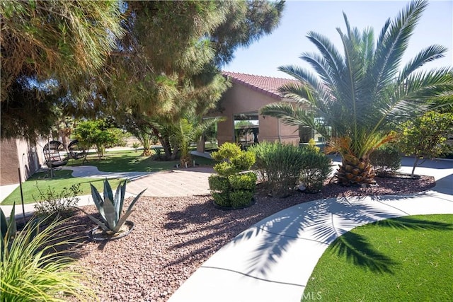 view of home's community with a lawn