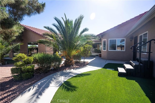 view of yard featuring a patio area