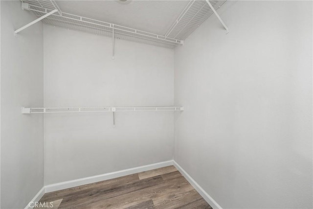 spacious closet featuring wood finished floors