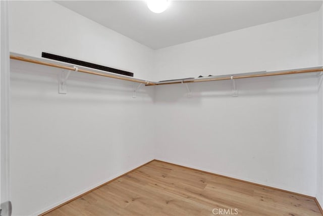 spacious closet with light wood-style flooring