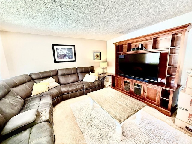 carpeted living room with a textured ceiling