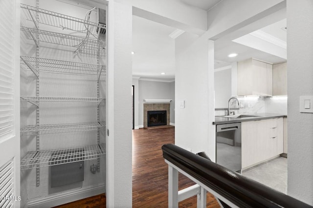 pantry featuring a sink