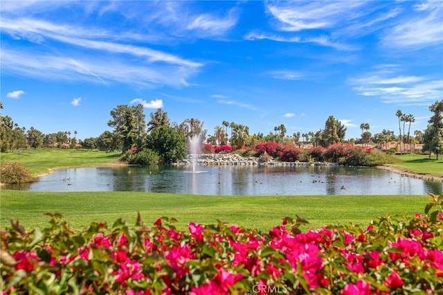 property view of water