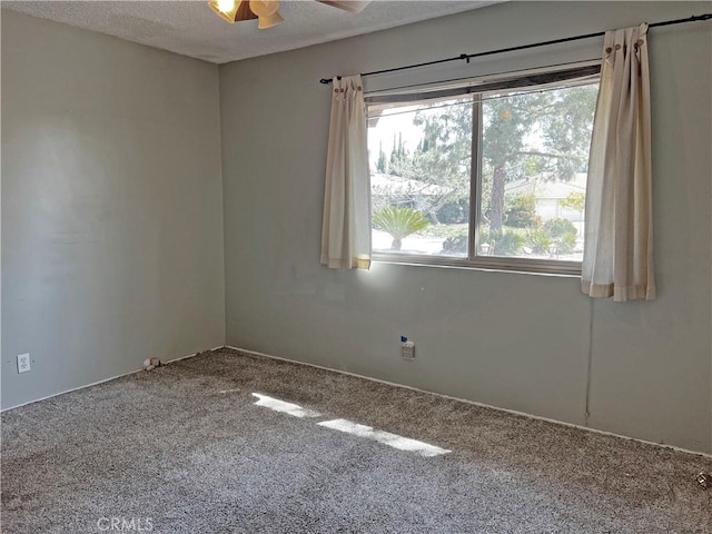 spare room featuring carpet flooring, ceiling fan, and a textured ceiling