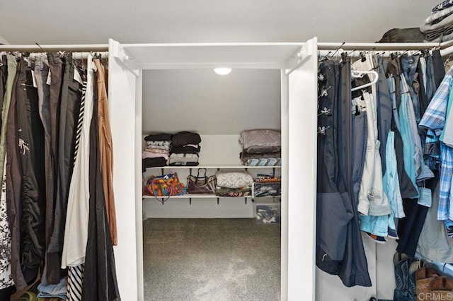 walk in closet with carpet flooring