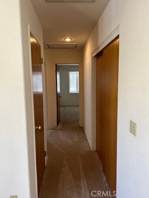 corridor with attic access and dark colored carpet