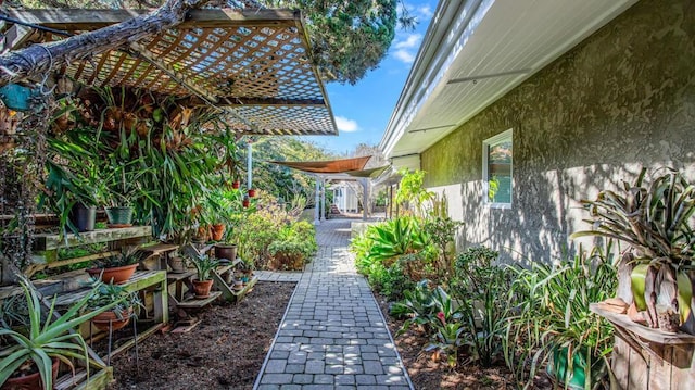 view of yard with a patio