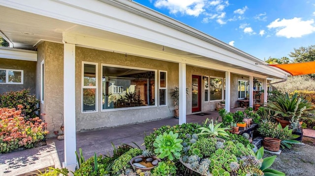 view of exterior entry featuring stucco siding