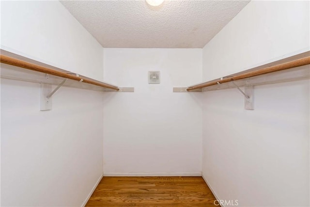 spacious closet featuring visible vents and wood finished floors