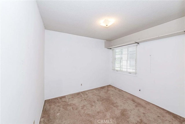 spare room with carpet floors