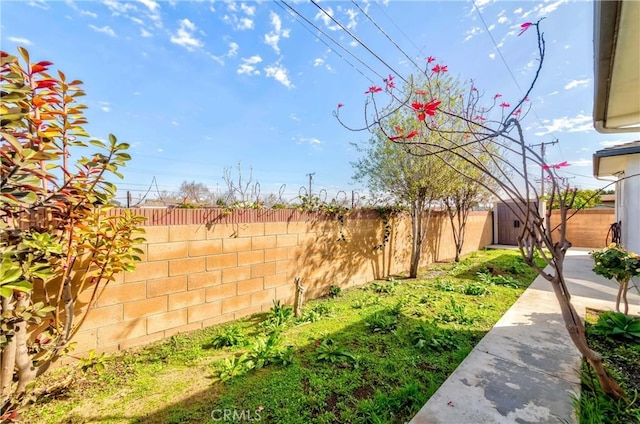 view of yard with a fenced backyard