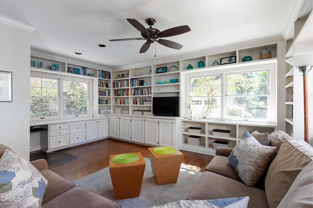 living room featuring a ceiling fan, dark wood finished floors, built in study area, and crown molding