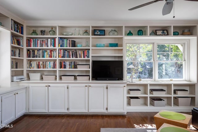 living area featuring dark wood-type flooring and ceiling fan