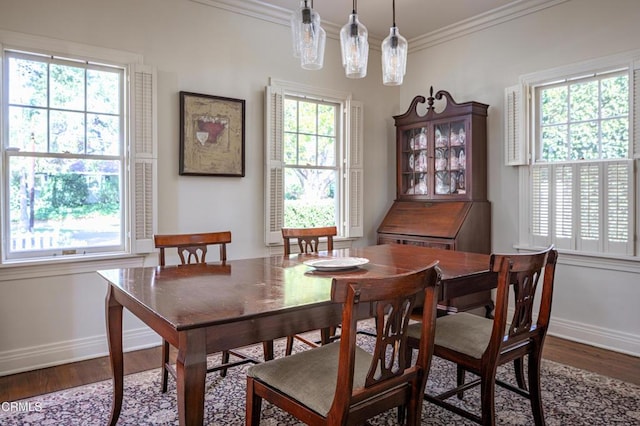 dining space with ornamental molding, wood finished floors, a wealth of natural light, and baseboards