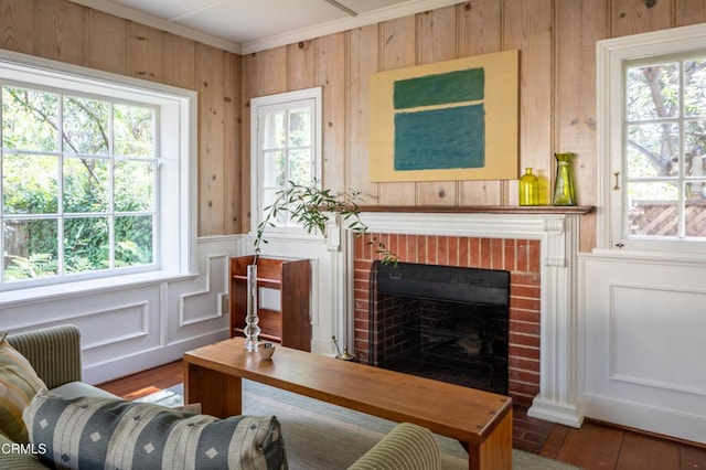 sitting room with plenty of natural light, ornamental molding, a fireplace, and radiator