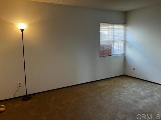 unfurnished room with carpet flooring