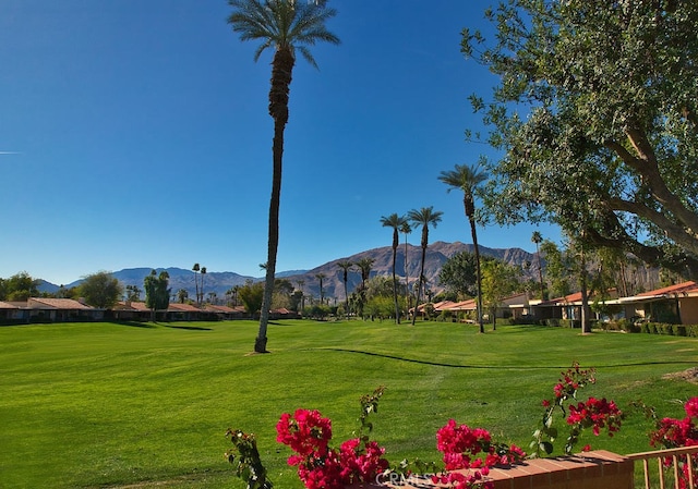 view of home's community featuring a yard and a mountain view