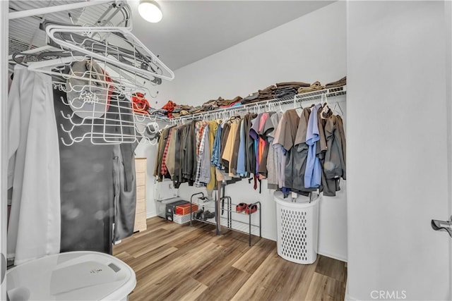 spacious closet featuring vaulted ceiling and wood finished floors