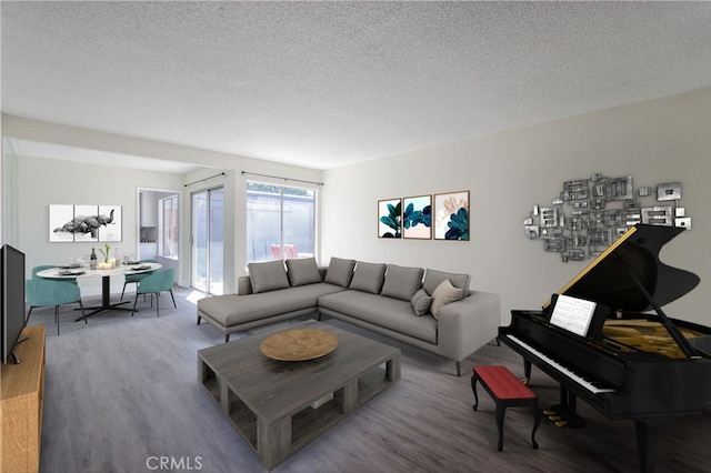 living room featuring a textured ceiling and wood finished floors