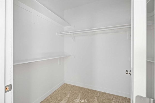 walk in closet featuring carpet flooring