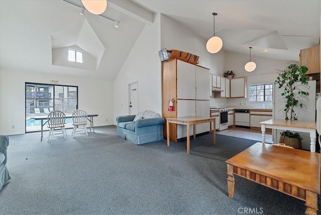 living area featuring high vaulted ceiling, carpet, and baseboards