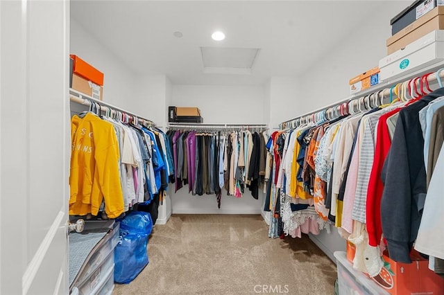 spacious closet featuring attic access and light carpet