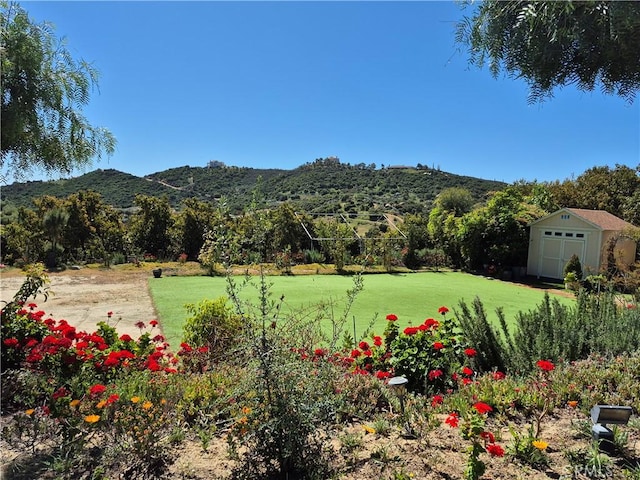 37305 Calle De Lobo, Murrieta, CA 92562 - view of green lawn featuring a mountain view