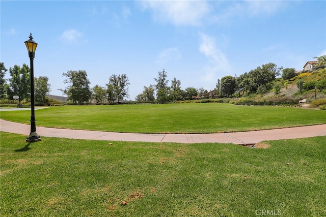 view of property's community featuring a yard