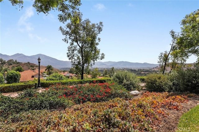 property view of mountains