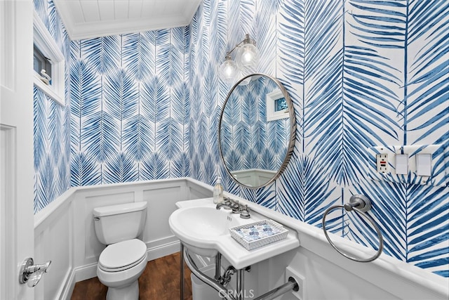 bathroom featuring toilet, wood finished floors, a decorative wall, wainscoting, and crown molding