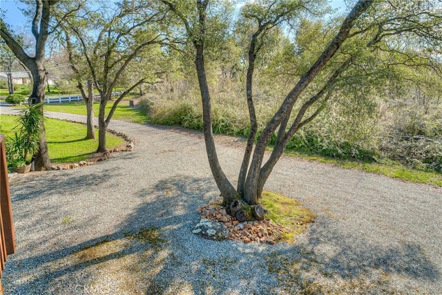 view of home's community featuring a lawn